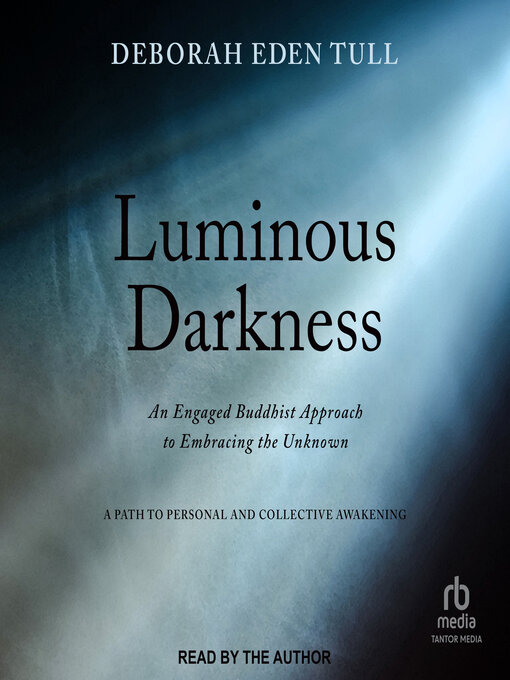 Title details for Luminous Darkness by Deborah Eden Tull - Available